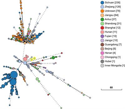 In vivo Emergence of Colistin Resistance in Carbapenem-Resistant Klebsiella pneumoniae Mediated by Premature Termination of the mgrB Gene Regulator